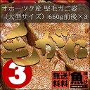 【送料無料】北海道 オホーツク産 堅毛ガニ姿(大型サイズ)660g前後×3杯ギフト お歳暮 誕生日プレゼント 内祝い 贈り物 母の日 父の日