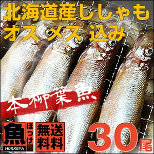 【送料無料】北海道（広尾産）ししゃも オス メス 込み　30尾（10尾×3）（化粧箱入）【本ししゃも】ギフト お歳暮 誕生日プレゼント 内祝い 贈り物 母の日 父の日