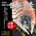 【送料無料】ロシア産 沖流し 時鮭(甘塩) 大型3キロ以上 1本物(化粧箱入・真空包装)ギフト お歳暮 誕生日プレゼント 内祝い 贈り物 母の日 父の日