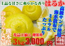 こだわりはるか秀品3kg玉揃え★★減農薬...