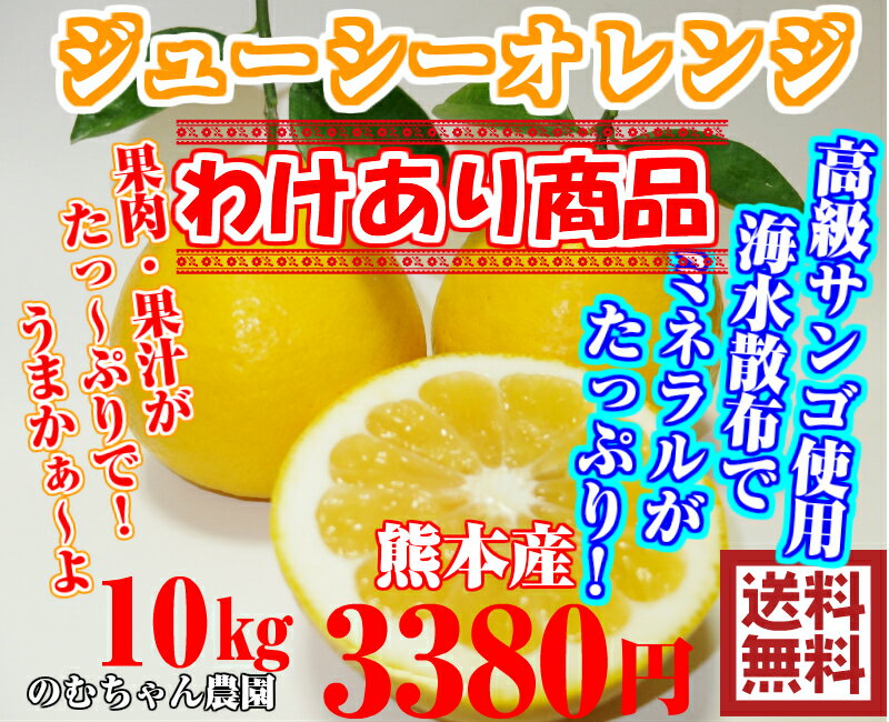 ジューシーオレンジ訳10k 減農薬栽培 ★河内晩柑 熊本県 発祥地★果物ソムリエが作る 送料無料 高級サンゴ 海水散布 ミネラルたっぷり 美味しい ミカン 九州 みかん 美生柑 愛媛 河内晩柑 おいしいく安心 安全 グレープフルーツ 和歌山 夏文旦 天草晩柑 愛媛 フルーツ