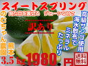【熊本県産】スイートスプリング訳あり3.5K農薬栽培★果物・野菜ソムリエが作る★減農薬栽培【送料無料】海水散布!高級サンゴミネラルたっぷり!美味しいミカン九州熊本県みかん熊本蜜柑晩柑八朔(ハッサク)と温州ミカンのかけあわせ おいしいくて甘く糖度があります!