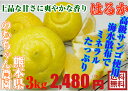 こだわり はるか 3kg★減農薬栽培 果...
