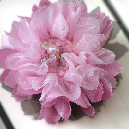 PsÑI[KW[̃RT[WyA[gt[zsNI[KW[̃RT[W@iP[Xtj