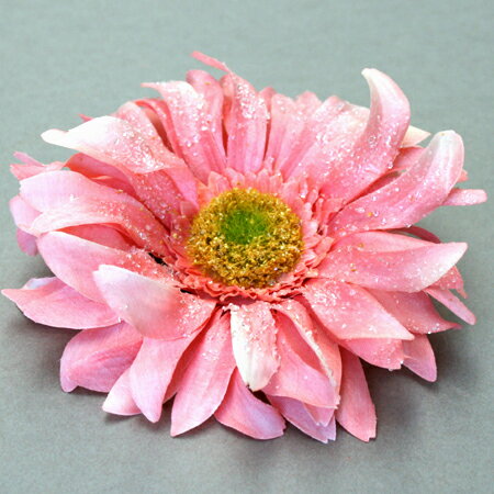 pXeJ[̃K[xRT[WyA[gt[zK[x̃RT[W09 iT[sNj@-P[Xt-@yyMt_zyyMt_̂..