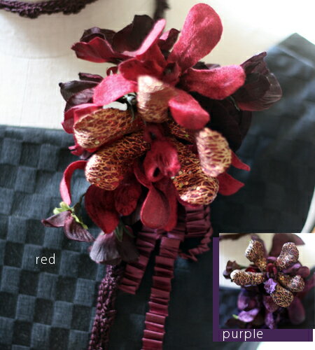 Ղȃxxbg̃RT[WyA[gt[zR[kiƃXCgs[̃RT[Wj@-P[Xt-@yyMt_zyyMt_̂zyyMt..