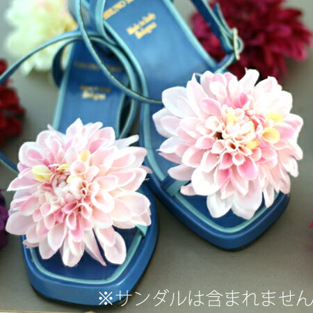 VFL[gȃJ[WJyA[gt[z_ÃV[YNbviV[[_AjS7F@-P[Xt-