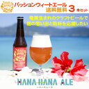 【送料無料】パッションウィートエール 330ml(3本)【奄美群島クラフトビール】