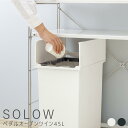 SOLOW　ペダルオープンツイン　45L　ゴミ箱　ふた付　観音開き　バタフライ式　抗菌　防汚加工　キッチン　ホワイト　ブラック