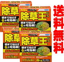 【送料無料】【あす楽】フマキラーカダン除草王 オールキラー粒剤 4kg×4個セット販売【他商品との同送不可】