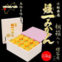 【予約受付中】媛一みかん 特選 桐箱(小) 贈答用 Mサイズ 2.5kg 愛媛県西宇和産 送料無料
