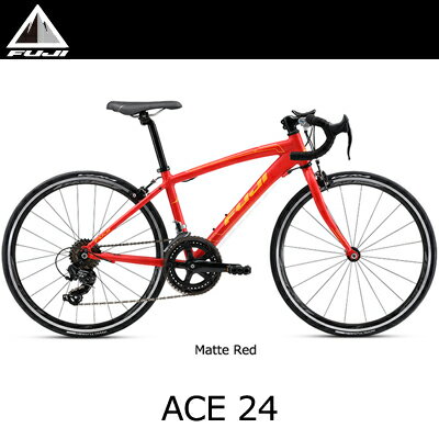 ACE 24