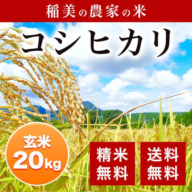 新米 稲美の農家の米 コシヒカリ【生産農家は井澤商店4代目におまかせ】 玄米 20kg(10kgx2)精米無料 玄米or白米選べます 【平成30年 兵庫県稲美町産】産地直送【送料無料】北海道・沖縄は除く