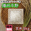 播州平野 玄米5kg【精米無料】【兵庫県産ブレンド米】