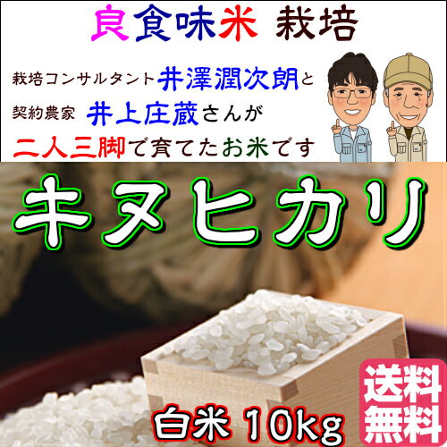 ◇産地直送◇【農家の米】井上庄蔵さんが育てたキヌヒカリ 白米10kg 【平成27年 兵庫県稲美町産】【送料無料】つきたてをお届けしますさらに今なら28年産新米3... ランキングお取り寄せ