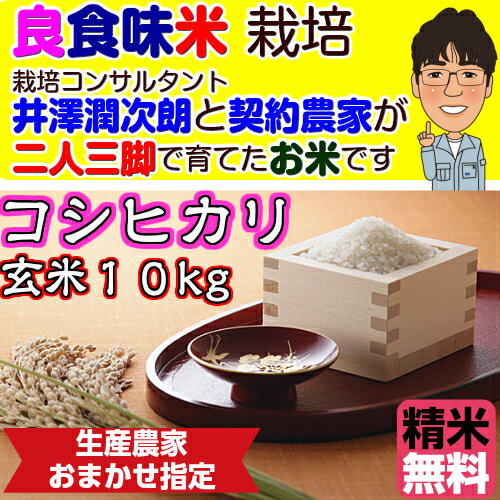 コシヒカリ 10kg◇産地直送◇【農家の米】【生産農家おまかせ指定】玄米10Kg【精米無料…...:noukamai:10000022