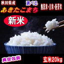 新米開始【真空(小袋対応)+送料無料】農家直送 秋田県産 令...