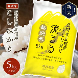 令和5年産 <strong>無洗米</strong> <strong>コシヒカリ</strong> 白米 お米 こしひかり 送料無料 長野県産 北信産 精米 米 ギフト 5kg 10kg 20kg 30kg