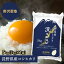 令和4年産 コシヒカリ お米 5kg 白米 精米 長野県産 こしひかり 5キロ ギフト 送料無料