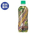 【送料無料】【2ケースセット】チェリオ ライフガード 500mlペットボトル×24本入×(2ケース) ※北海道・沖縄は別途送料が必要。