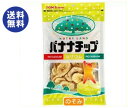 【送料無料】【2ケースセット】東洋ナッツ食品 トン NUTRY LAND バナナチップ 170g×6袋入×(2ケース) ※北海道・沖縄は別途送料が必要。