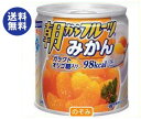 【送料無料】はごろもフーズ 朝からフルーツ みかん 190g缶×24個入 ※北海道・沖縄は別途送料が必要。