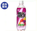 【送料無料】コカコーラ リアルゴールド スーパーリフレッシュ フルーツパンチ 490mlペットボトル×24本入 ※北海道・沖縄は別途送料が必要。