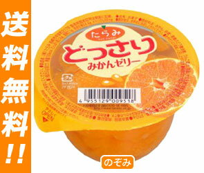 【送料無料・2ケースセット】たらみ どっさり みかんゼリー250g×24個入×（2ケース）