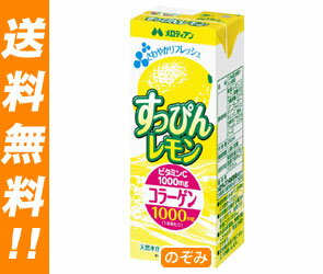 【送料無料・2ケースセット】メロディアン すっぴんレモン250ml紙パック×24本入×（2ケース）【RCPmara1207】