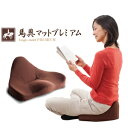 【在庫あり】 【馬具マットプレミアム】 ■送料無料■代引料無...