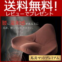 【在庫あり】 【馬具マットプレミアム】 ■送料無料