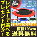 トランポリン 折りたたみ式 【送料無料】【40インチ トランポリン BX40】 大型トランポリン 子供用 大人用 折り畳み 家庭用 6本脚 フィットネス 体幹トレーニング 有酸素運動