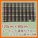 \ページ限定・マジッククロス付/ ユーイング 電気