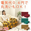 【送料無料】電気ひざ掛け|省エネ省電力で電気代0.