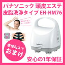 皮脂洗浄タイプ EH-HM76-H パナソニック