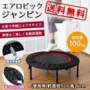 トランポリン 大人用 耐荷重100kg ■送料無料■【エアロビック ジャンピン 0215846】子供用 有酸素運動 ダイエット 体幹トレーニング