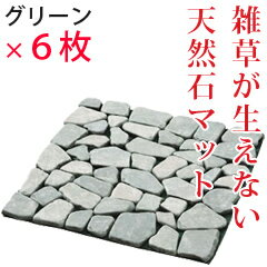 6039cotd110927 240