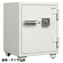 ITOKI(イトーキ) ニューゴールドセーフハイガ