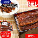 【訳あり】三河産うなぎ蒲焼セット(日本テレビ 通販)