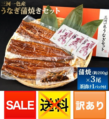 訳あり　三河一色産　うなぎ蒲焼3尾セット訳あり　三河一色産　うなぎ蒲焼3尾セット