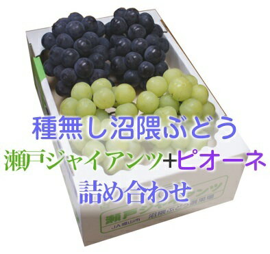 【数量限定】おいしい広島産沼隈ぶどう瀬戸ジャイアンツとピオーネのセット計4房入り高級ぶどうをミックスしました。