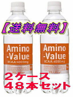 【送料無料】大塚製薬アミノバリュー4000　500ml　ペット 2ケース(48本セット）