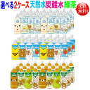 選べる2ケース【送料無料】ダイドー リラックマの天然水 炭酸水 お茶(緑茶) 500mlペット 48本セット(24本×2ケース)(緑茶 無糖炭酸水 ミネラルウォーター)