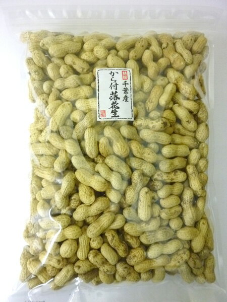 千葉八街産から付落花生　ナカテユタカ1000g