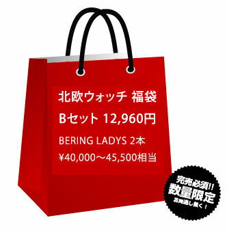 　　　腕時計　福袋NO.2　BERINGメンズ1本　noon copenhagenメンズ1本　数量・販売期間限定アウトレットセール品(返品・ギフト包装不可)