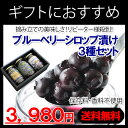 【送料無料】※のし対応可『ブルーベリーシ...