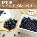 野生種ワイルドブルーベリー≪1kg≫【グラノーラ作りにも人気!】【乾物ヨーグルト】 ランキングお取り寄せ