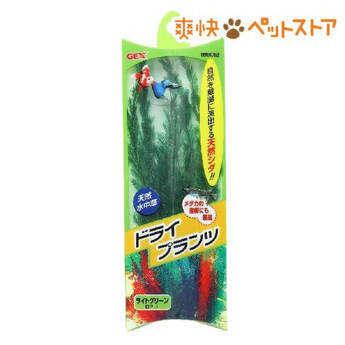 【ラクーポンで割引】ドライプランツ ライトグリーン DP-1(1コ入)[熱帯魚 アクアリウム 水草]