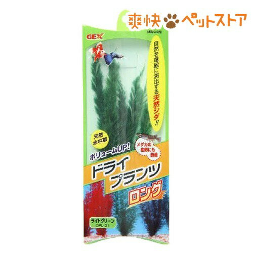 【ラクーポンで割引】ドライプランツ ロング ライトグリーン DPL-01(1コ入)[熱帯魚 アクアリウム 水草]