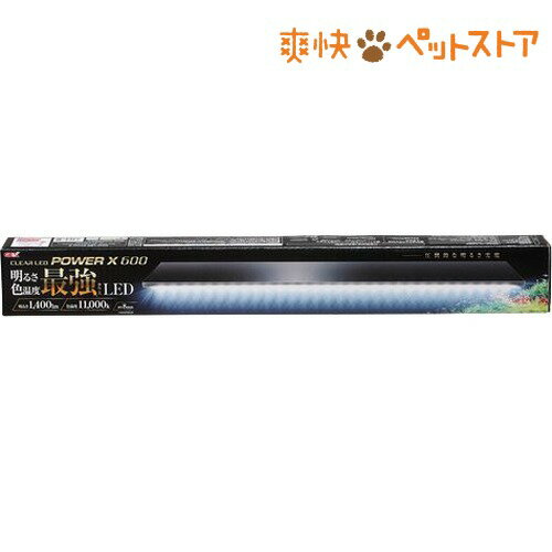 ジェックス CLEAR LED POWER X 600(1コ入)【GEX(ジェックス)】【…...:nyanzaq:10120415